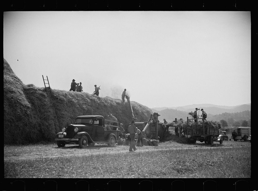 Threshing, Tygart Valley, West Virginia. Sourced from the Library of Congress.