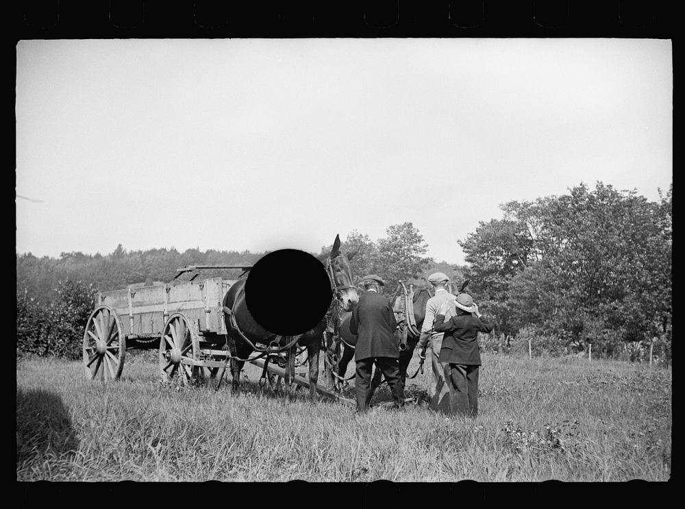 [Untitled photo, possibly related to: The wagon has carried them into the fair and now the horses will try for the blue…