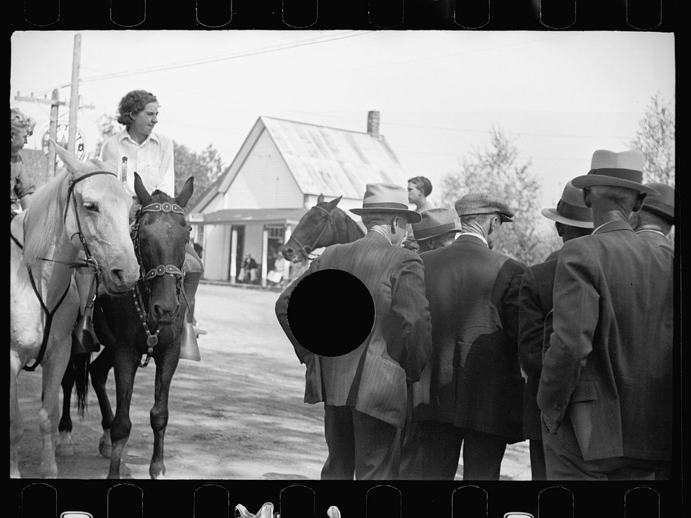 [Untitled photo, possibly related to: Horse judging at the fair, Albany, Vermont]. Sourced from the Library of Congress.