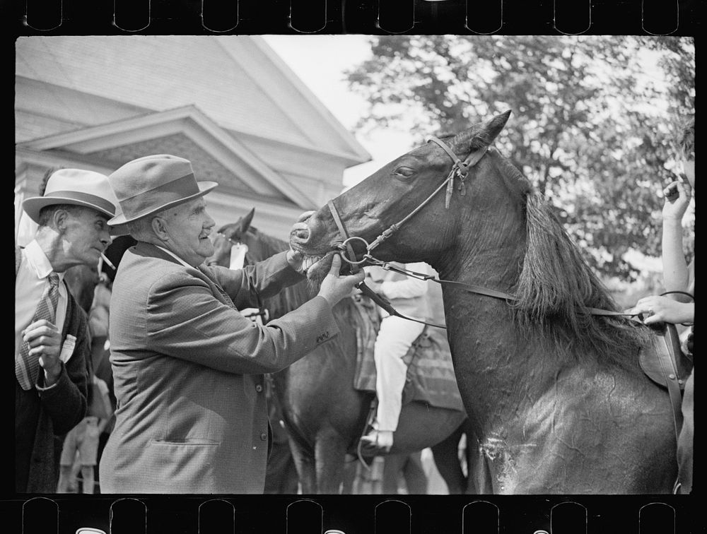 Horse judging at the fair, Albany, Vermont. Sourced from the Library of Congress.