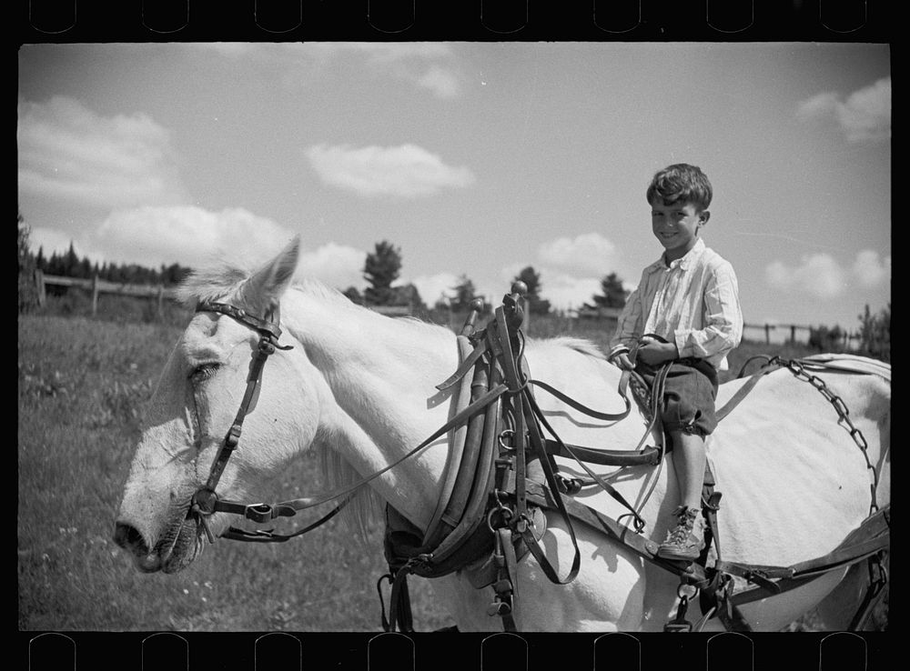 [Untitled photo, possibly related to: Farm boy and horse east of Lowell, Vermont]. Sourced from the Library of Congress.