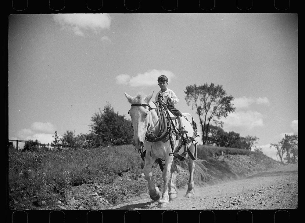 Farm boy and horse east of Lowell, Vermont. Sourced from the Library of Congress.
