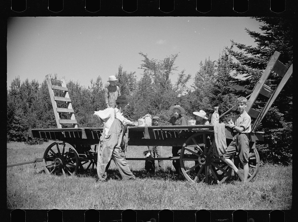 [Untitled photo, possibly related to: Farm boy and horse east of Lowell, Vermont]. Sourced from the Library of Congress.