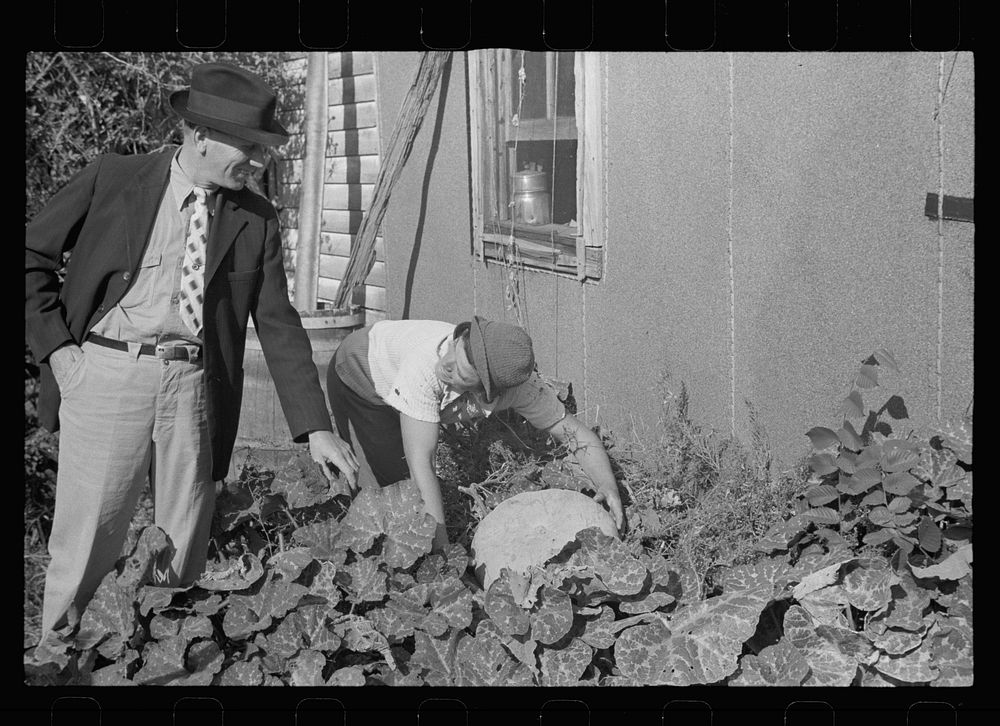 FSA (Farm Security Administration) client showing county supervisor pumpkins she raised. Coffey County, Kansas. Sourced from…