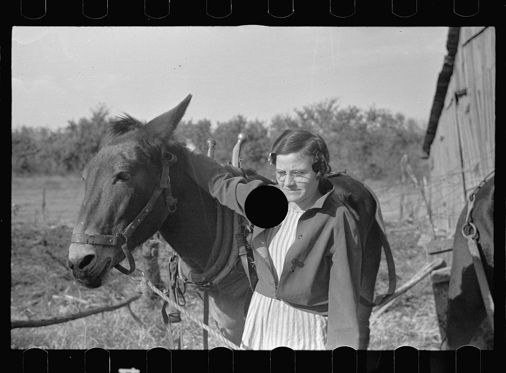 [Untitled photo, possibly related to: Thirty year-old mule; the girl is twenty-five. Farm in Coffey County, Kansas]. Sourced…
