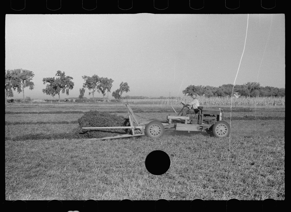 [Untitled photo, possibly related to: Using a power rake on the alfalfa fields of Dawson County, Nebraska. Dawson County is…