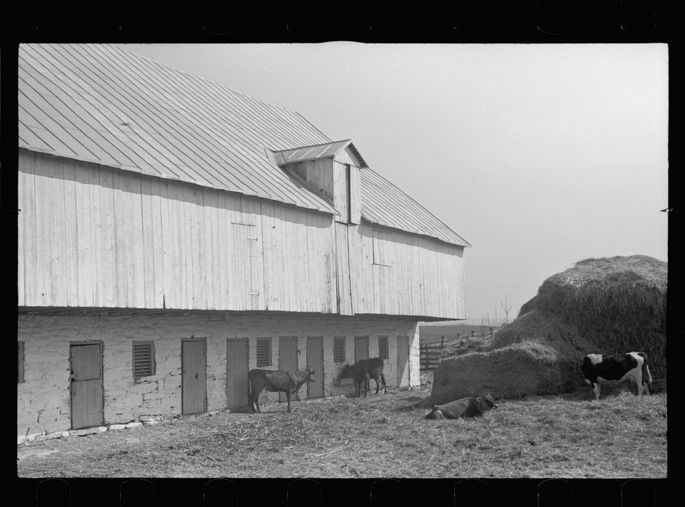Old barn near Sharpsburg, Maryland. Sourced from the Library of Congress.