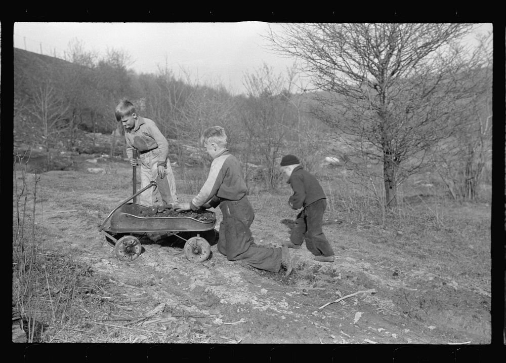 Miner's sons bringing home coal which they have salvaged from slag pile.  Kempton, West Virginia. Sourced from the Library…