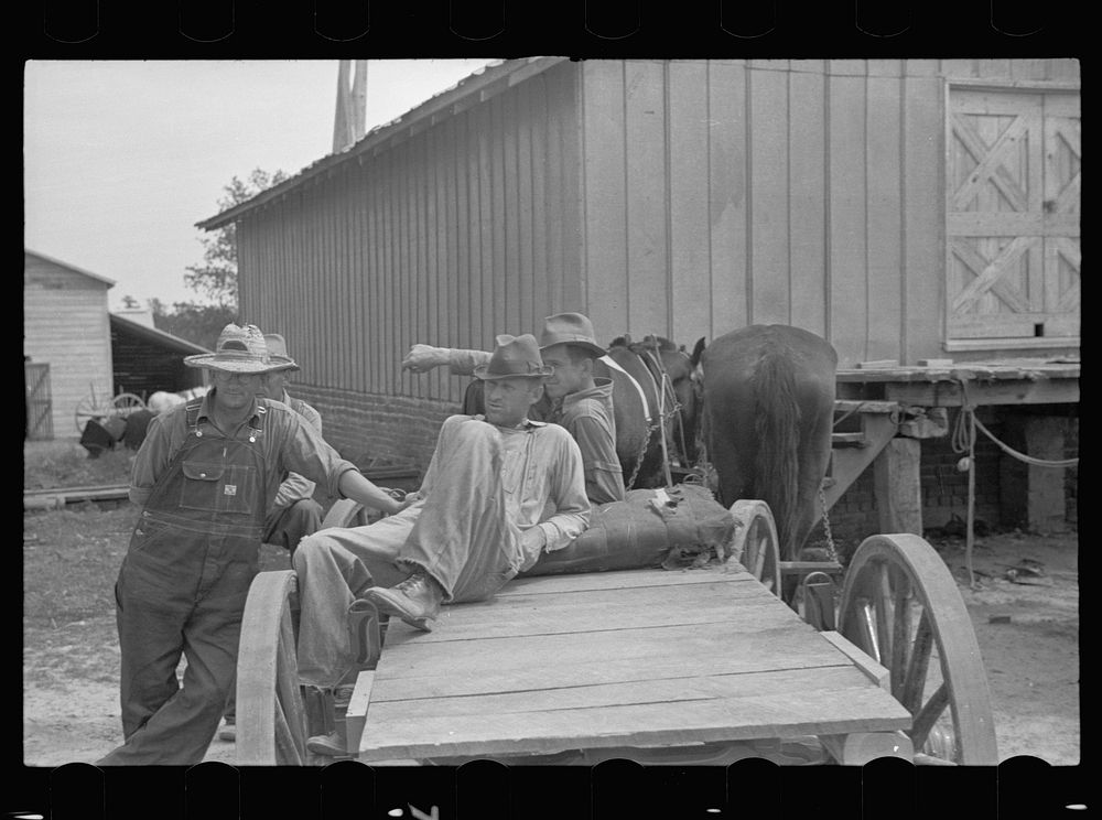 Farmers of Roanoke Farms, North Carolina. Sourced from the Library of Congress.