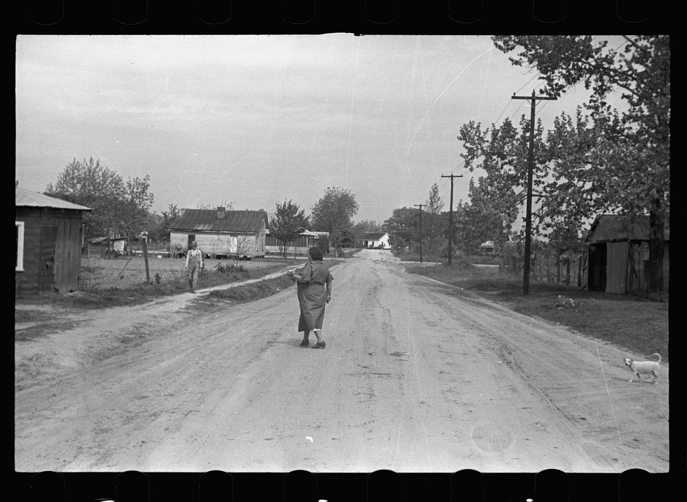 Street in Enfield, North Carolina. Sourced from the Library of Congress.