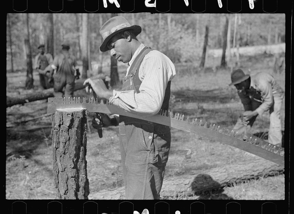 Filing a saw, Roanoke Farms Project, North Carolina. Sourced from the Library of Congress.