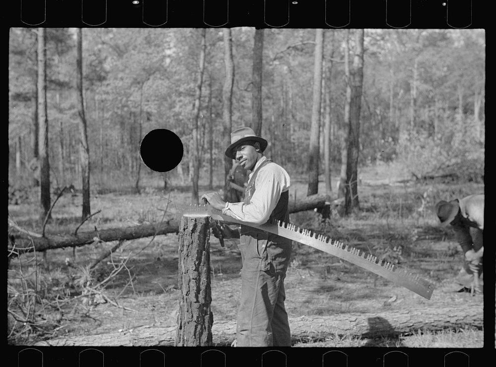 [Untitled photo, possibly related to: Filing a saw, Roanoke Farms Project, North Carolina]. Sourced from the Library of…
