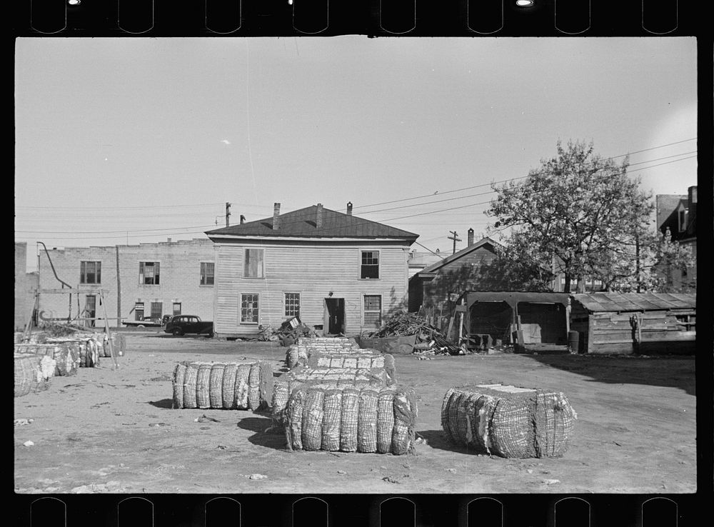 Cotton storeyard, Enfield, North Carolina. Sourced from the Library of Congress.