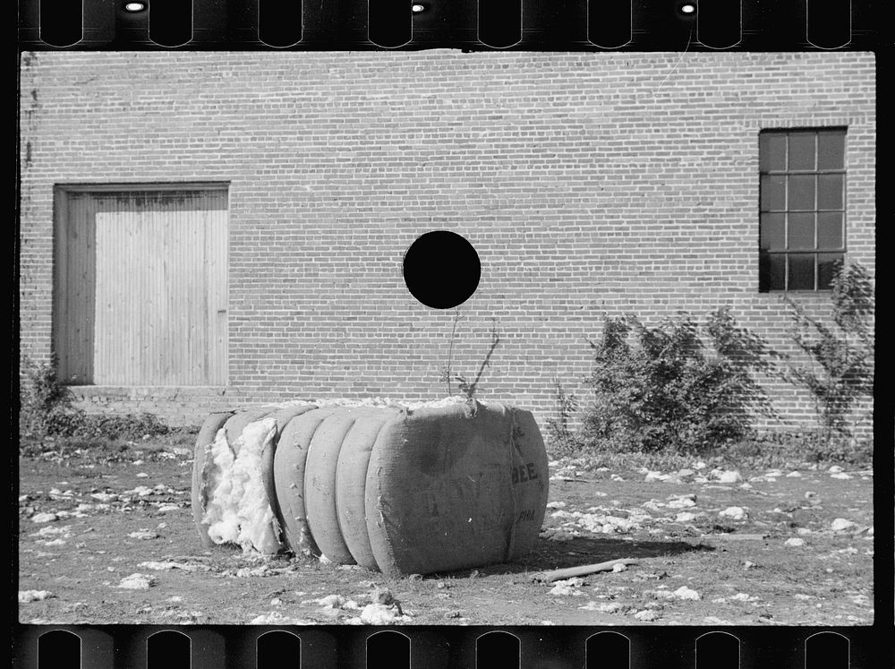 [Untitled photo, possibly related to: Cotton storeyard, Enfield, North Carolina]. Sourced from the Library of Congress.