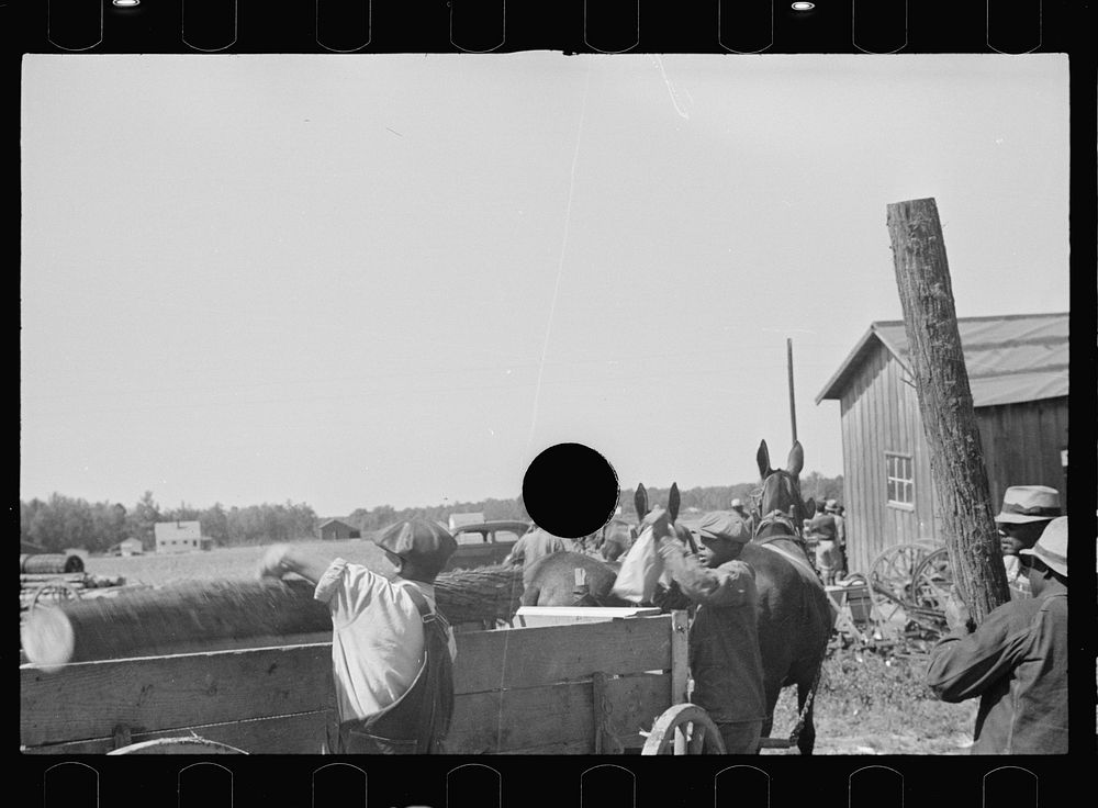 [Untitled photo, possibly related to: Foreman checking out supplies as they are received by es of the Roanoke Farms Project…