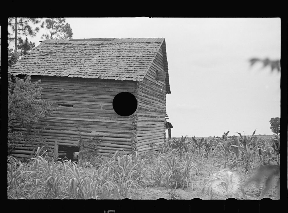 [Untitled photo, possibly related to: Farmer, Irwinville Farms, Georgia]. Sourced from the Library of Congress.