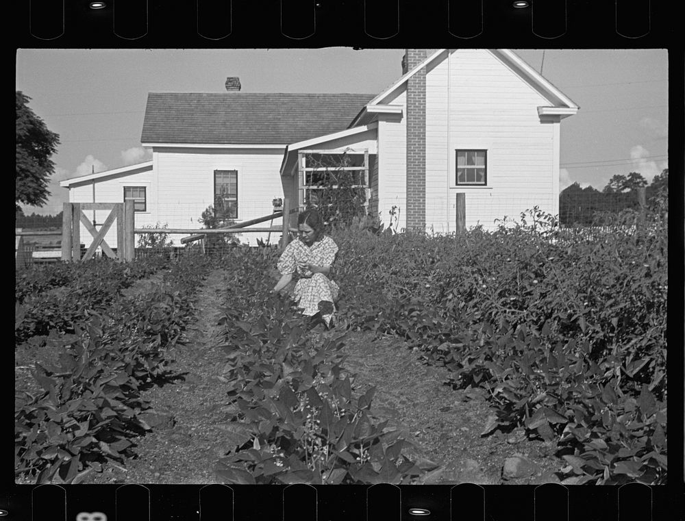 Mrs. Cole in her garden, Irwinville Farms, Georgia. Sourced from the Library of Congress.