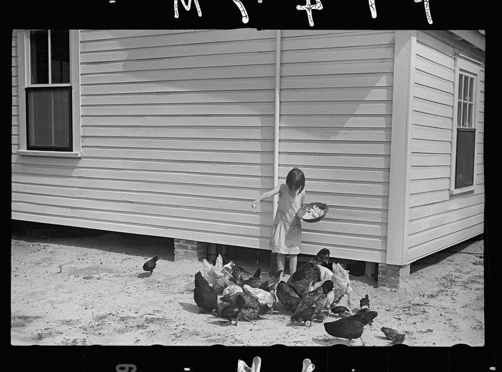 [Untitled photo, possibly related to: Mrs. Cole in her garden, Irwinville Farms, Georgia]. Sourced from the Library of…