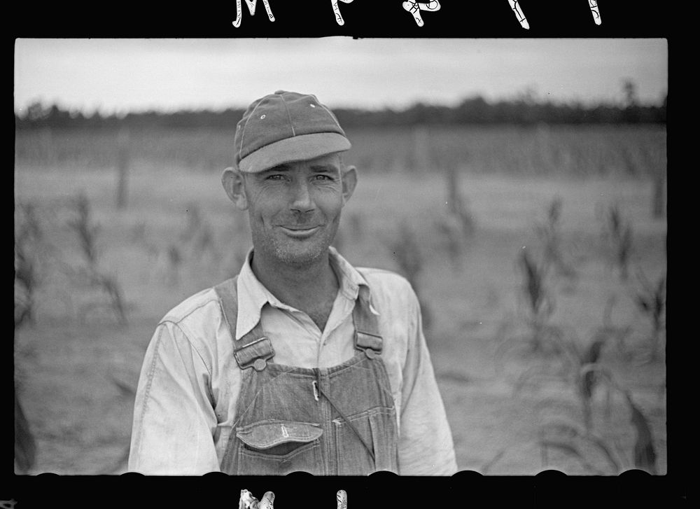 James A. MacDuffey, farmer at Irwinville Farms, Georgia. Sourced from the Library of Congress.