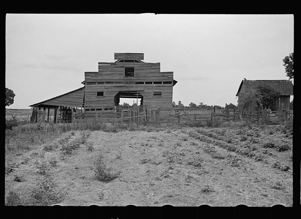 Old tobacco barn. Irwin County, Georgia. Sourced from the Library of Congress.