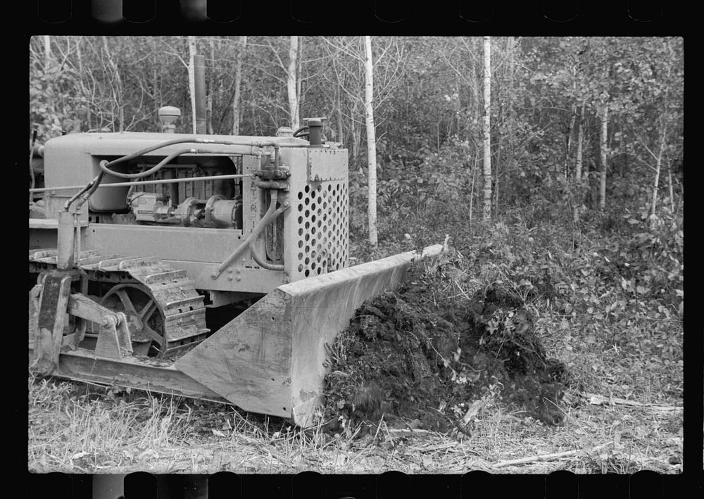 Clearing land, Beltrami County, Minnesota. Sourced from the Library of Congress.