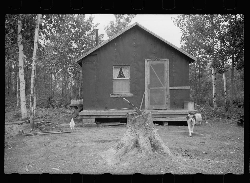 Tar paper shack in Minnesota cut-over area, Beltrami County, Minnesota. Sourced from the Library of Congress.