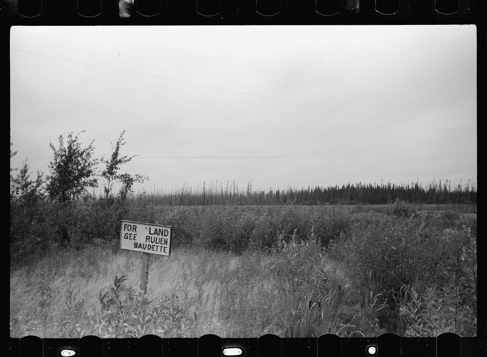 [Untitled photo, possibly related to: Farmland for sale, Beltrami County, Minnesota]. Sourced from the Library of Congress.