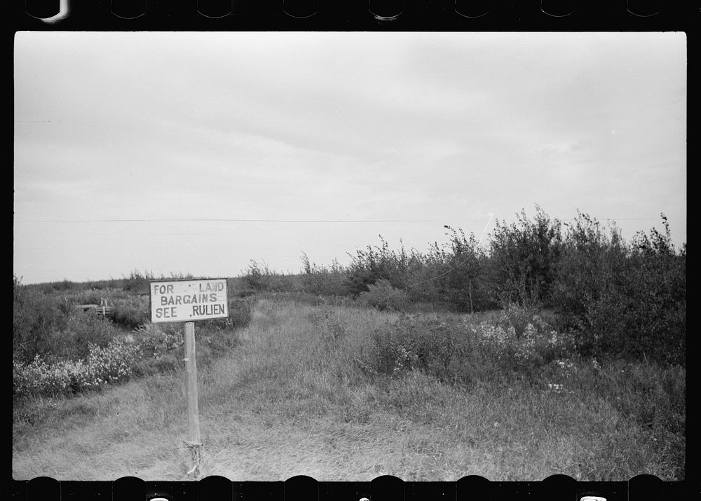 Farmland for sale, Beltrami County, Minnesota. Sourced from the Library of Congress.