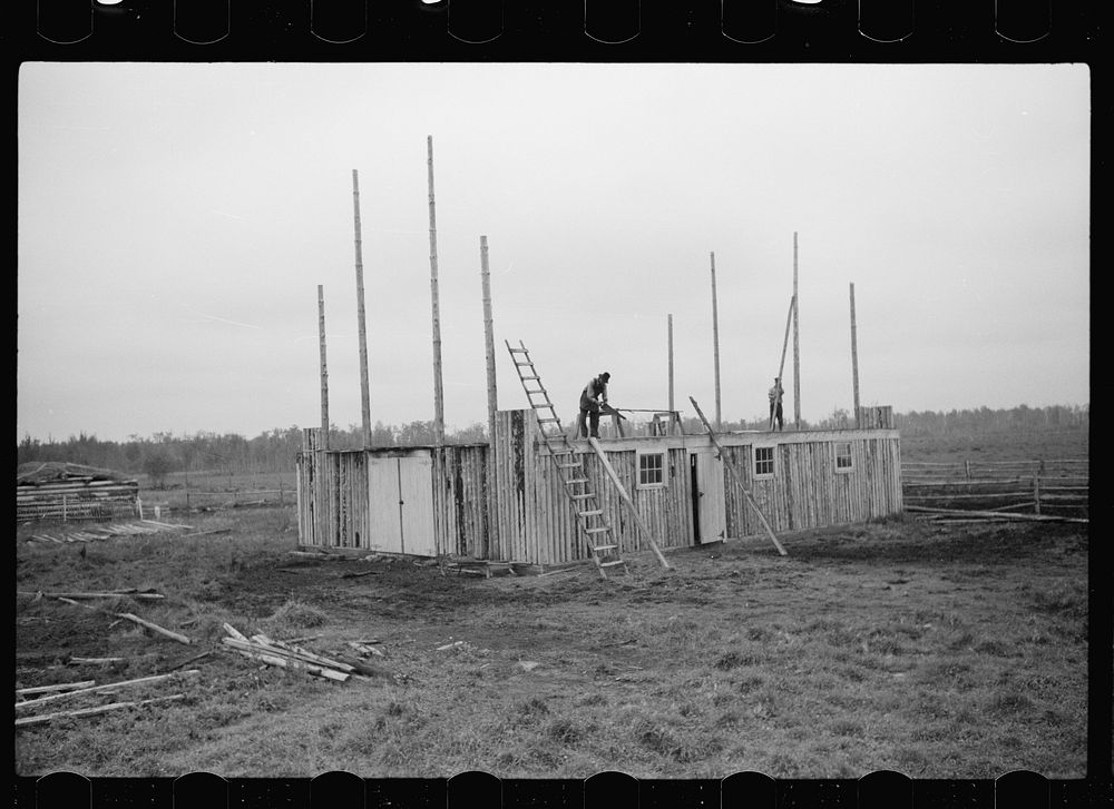 [Untitled photo, possibly related to: Farmer and son, rehabilitation clients, building barn which FSA (Farm Security…