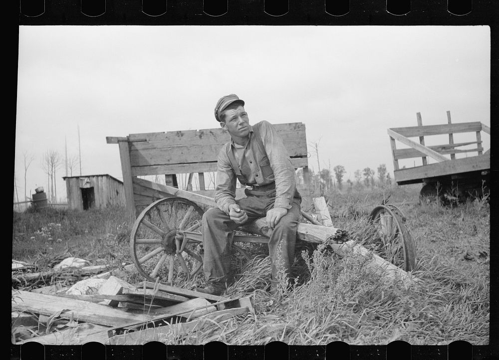 [Untitled photo, possibly related to: Farm boy of Minnesota cut-over land, Lake of the Woods County, Minnesota]. Sourced…