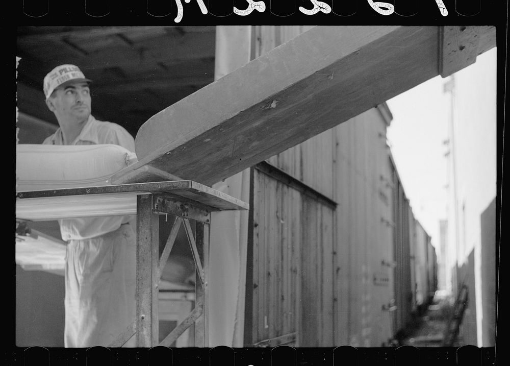 [Untitled photo, possibly related to: Loading freight car with sacks of flour, Minneapolis, Minnesota]. Sourced from the…