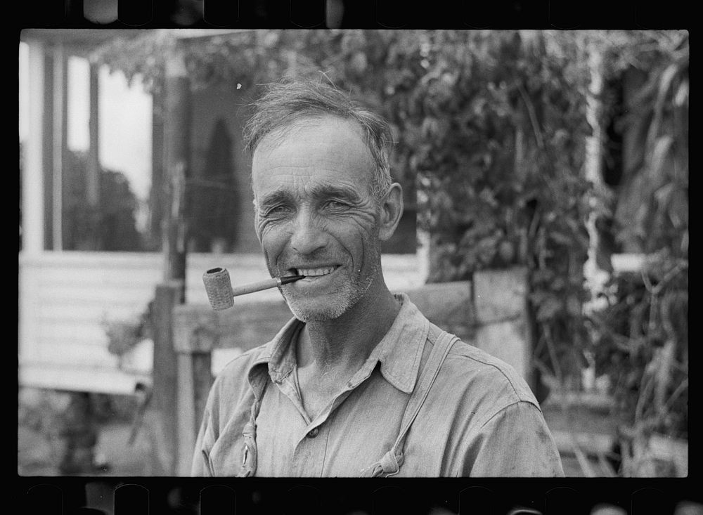 Farmer in cut-over area, Chippewa County, Wisconsin. Sourced from the Library of Congress.
