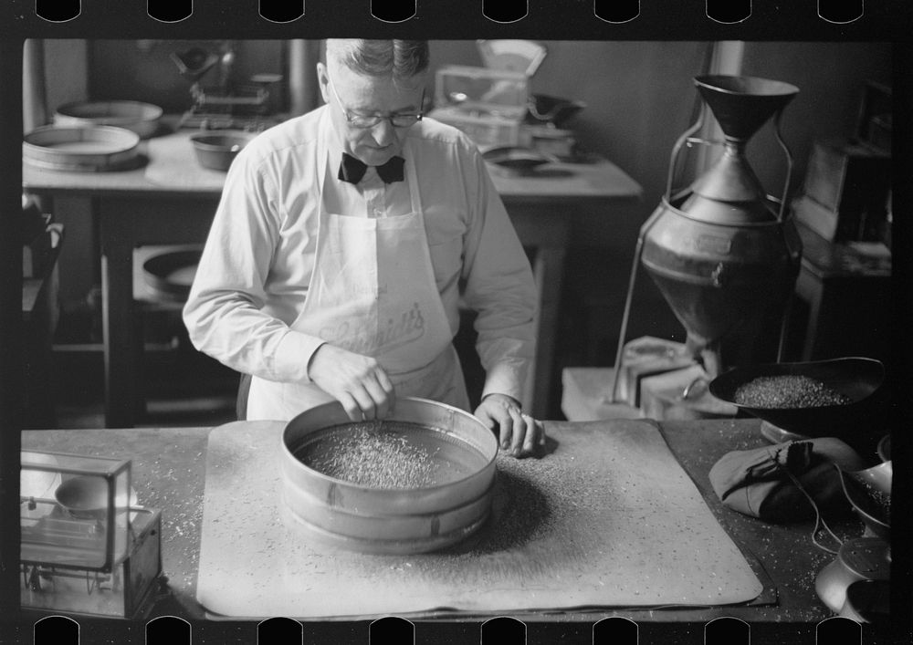 [Untitled photo, possibly related to: Testing for impurities in wheat at Minnesota grain inspection dept., Minneapolis…