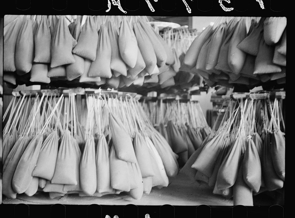 Bags of grain samples at state grain inspection deptartment, Minneapolis, Minnesota. Sourced from the Library of Congress.