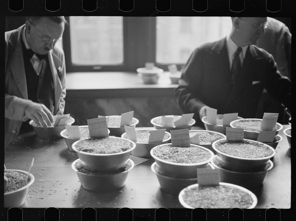 [Untitled photo, possibly related to: Buyer examining sample of oats at open market, Minneapolis Grain Exchange, Minnesota].…