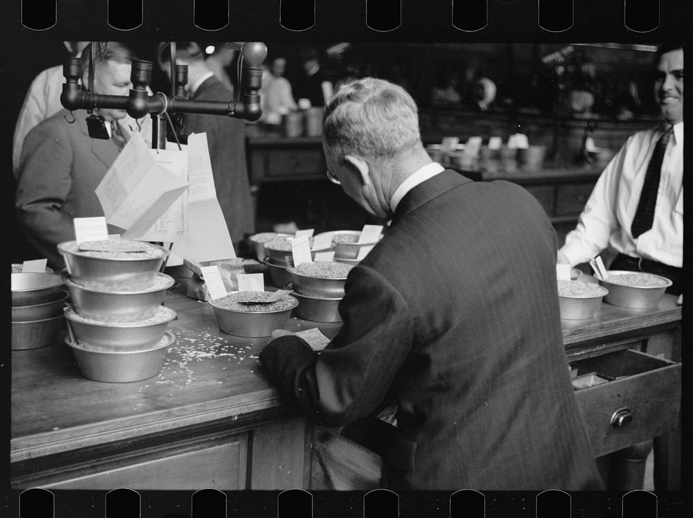 [Untitled photo, possibly related to: Buyer examining sample of oats at open market, Minneapolis Grain Exchange, Minnesota].…