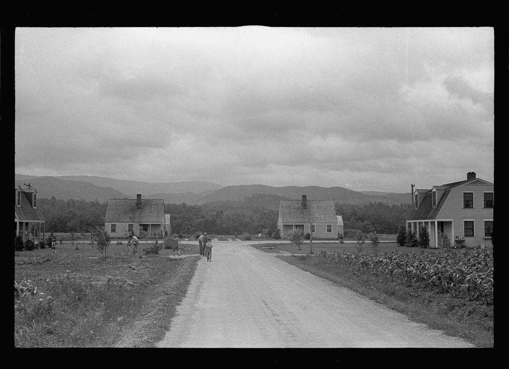 Tygart Valley Homesteads, West Virginia. Sourced from the Library of Congress.