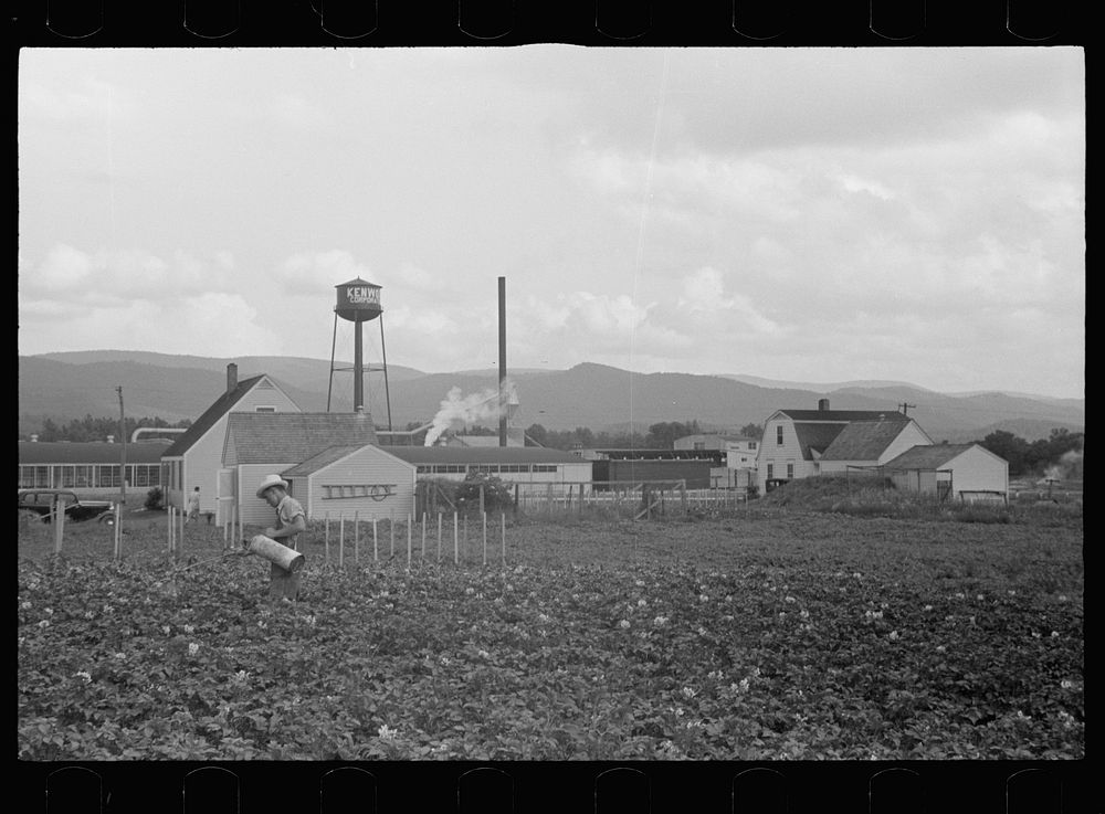 Farm and factory, Tygart Valley Homesteads, West Virginia. Sourced from the Library of Congress.