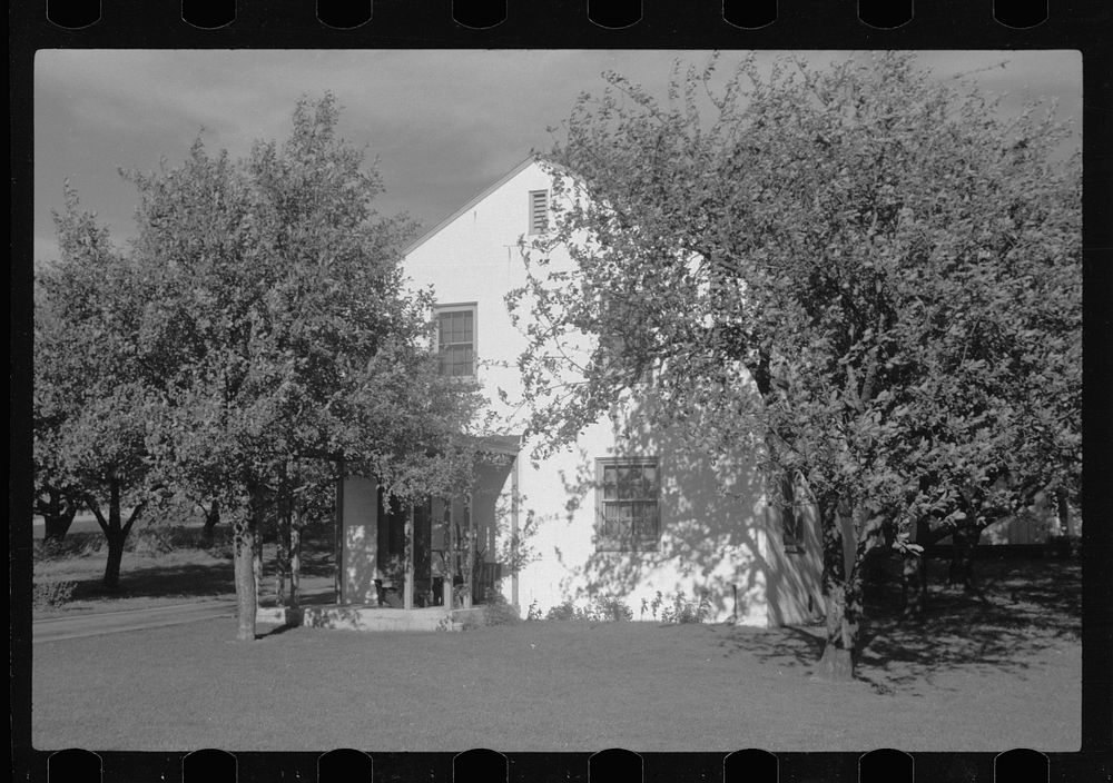 House and apple trees, Greendale, Wisconsin. Sourced from the Library of Congress.