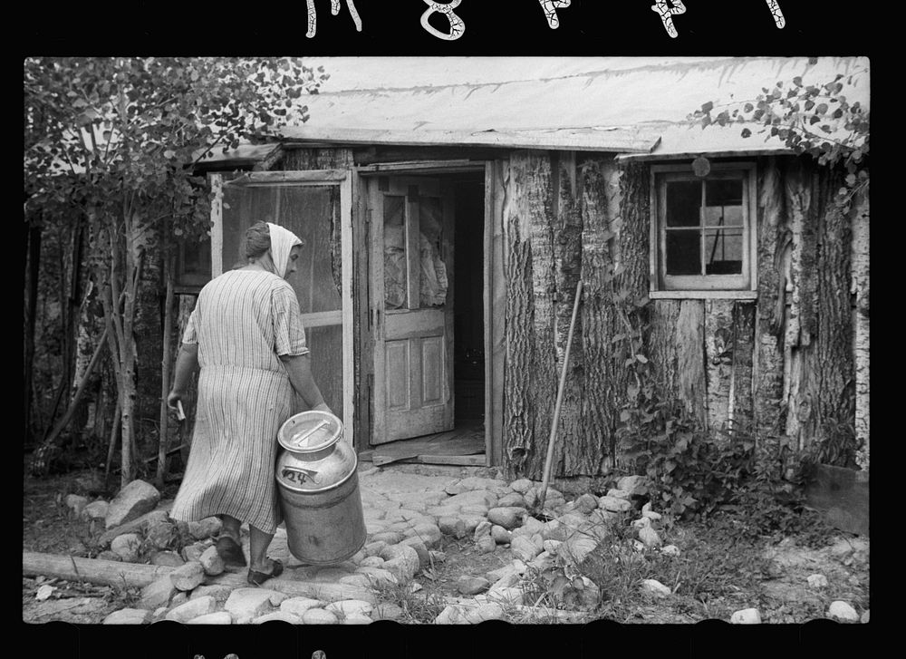 Mrs. Howard bringing empty milk can into home which she and her daughter built, Aitkin County, Minnesota. Sourced from the…