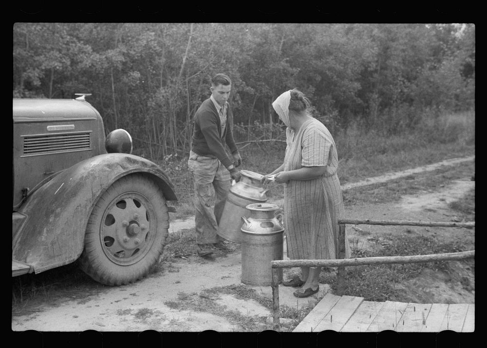 Truck driver picking up milk at Mrs. Howard's cut-over small farm. This is her main source of income. Aitkin County…