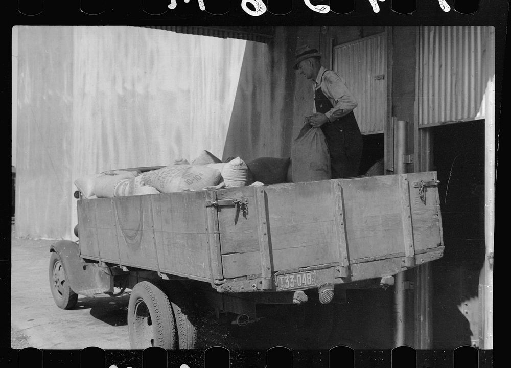Unloading sacks of wheat at elevator, Minneapolis, Minnesota. Sourced from the Library of Congress.