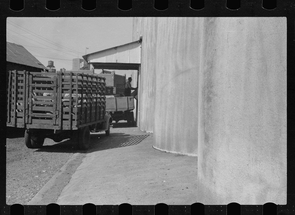 [Untitled photo, possibly related to: Unloading sacks of wheat at elevator, Minneapolis, Minnesota]. Sourced from the…