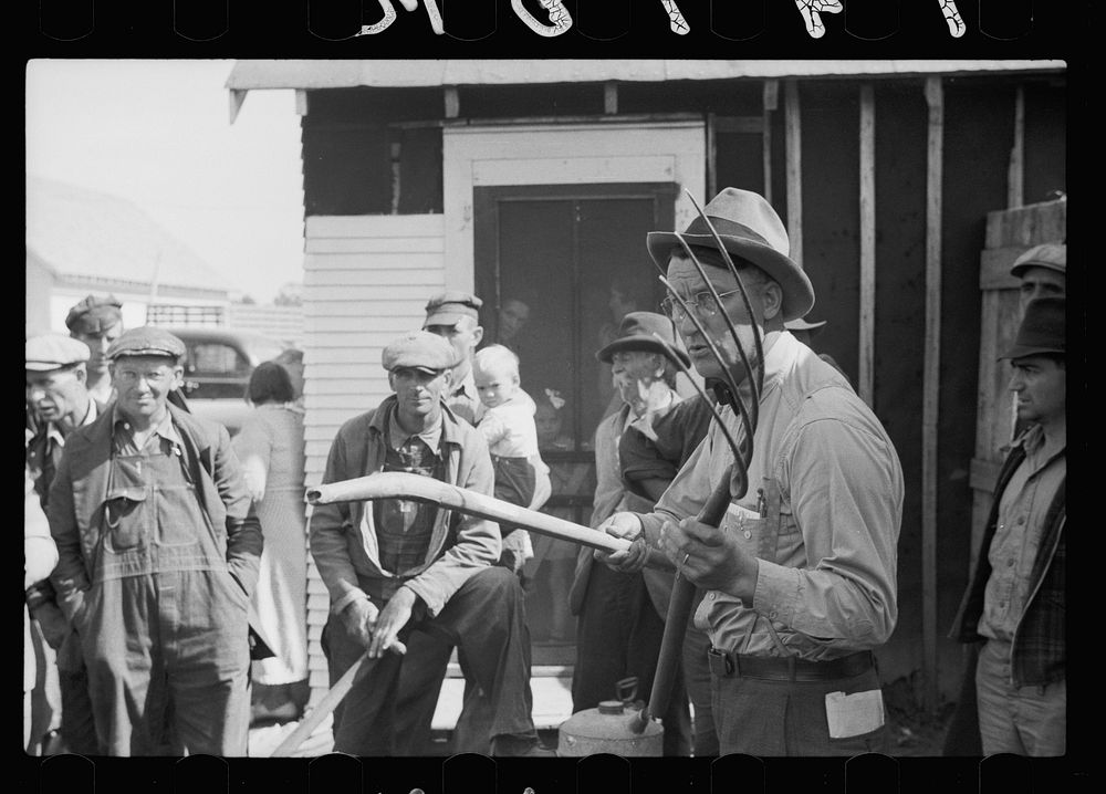 [Untitled photo, possibly related to: Ladies who are serving lunch at auction near Tenstrike, Minnesota]. Sourced from the…