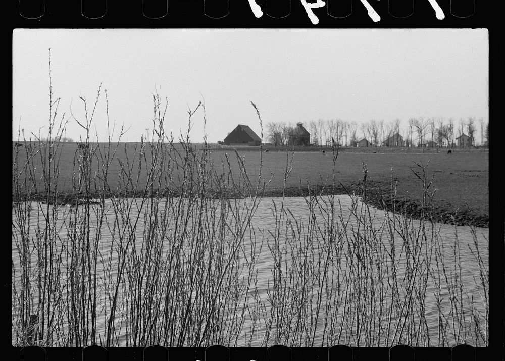 Iowa corn farm along banks of stream, Greene County. Sourced from the Library of Congress.