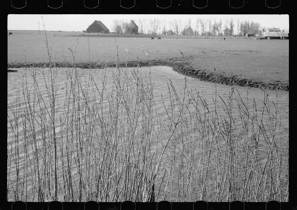 [Untitled photo, possibly related to: Iowa corn farm along banks of stream, Greene County]. Sourced from the Library of…