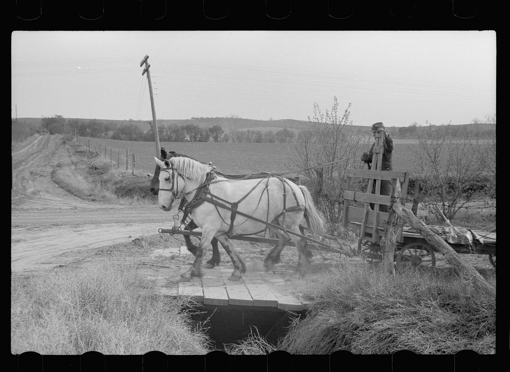 Bringing wagon in from the field, Harrison County, Iowa. Sourced from the Library of Congress.