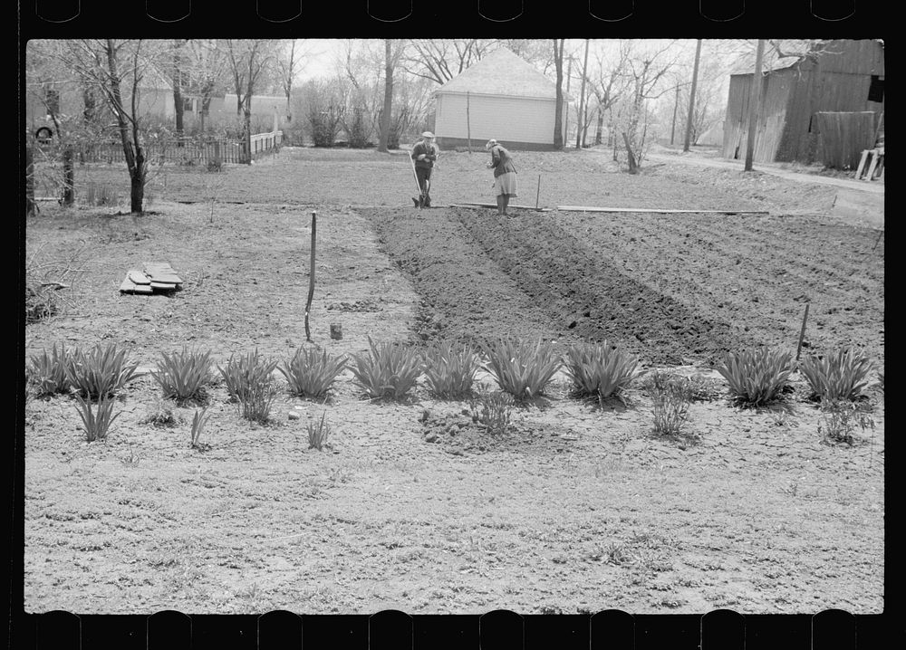 Planting a garden in the backyard, Woodbine, Iowa. Sourced from the Library of Congress.