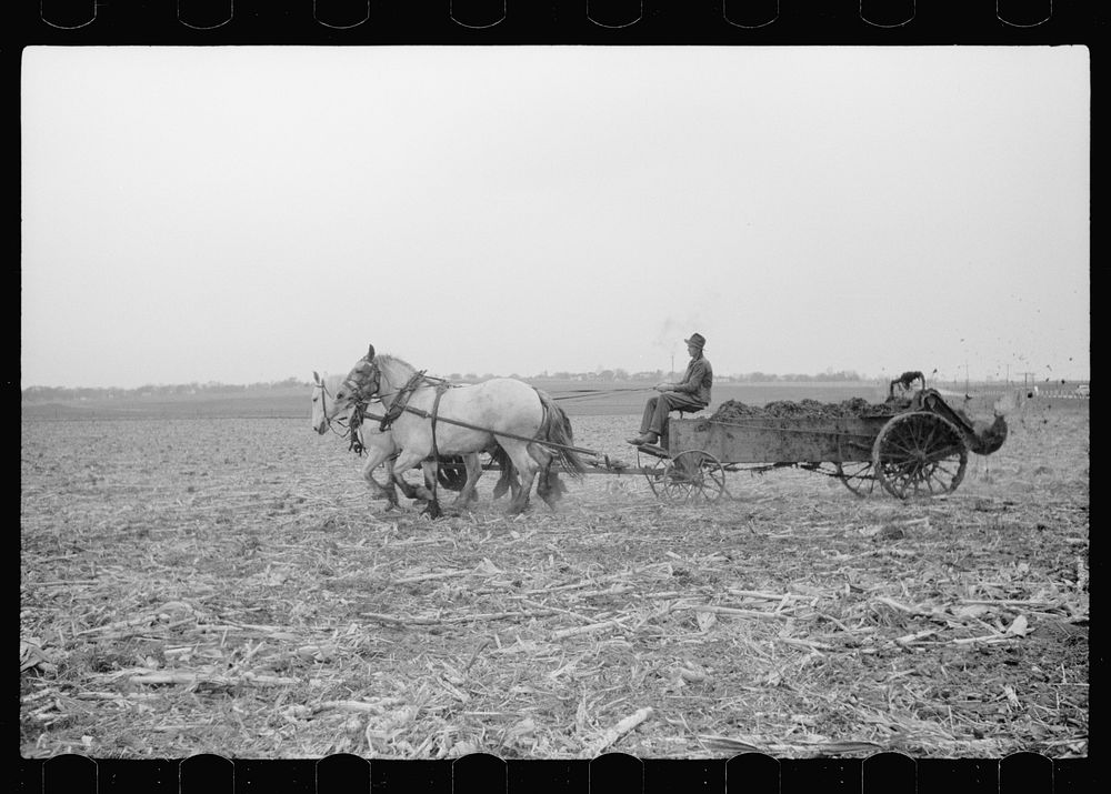 [Untitled photo, possibly related to: Spreading manure, Grundy County, Iowa]. Sourced from the Library of Congress.