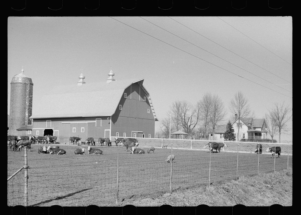 [Untitled photo, possibly related to: Barn, Grundy County, Iowa]. Sourced from the Library of Congress.